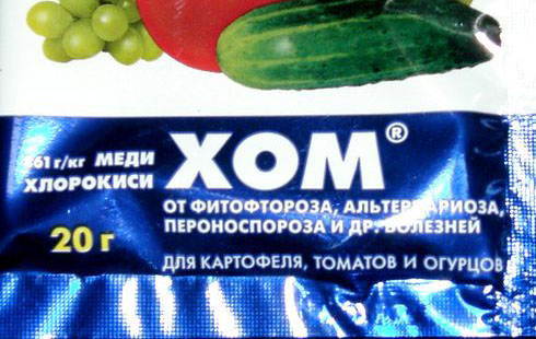 Фунгицид Хом