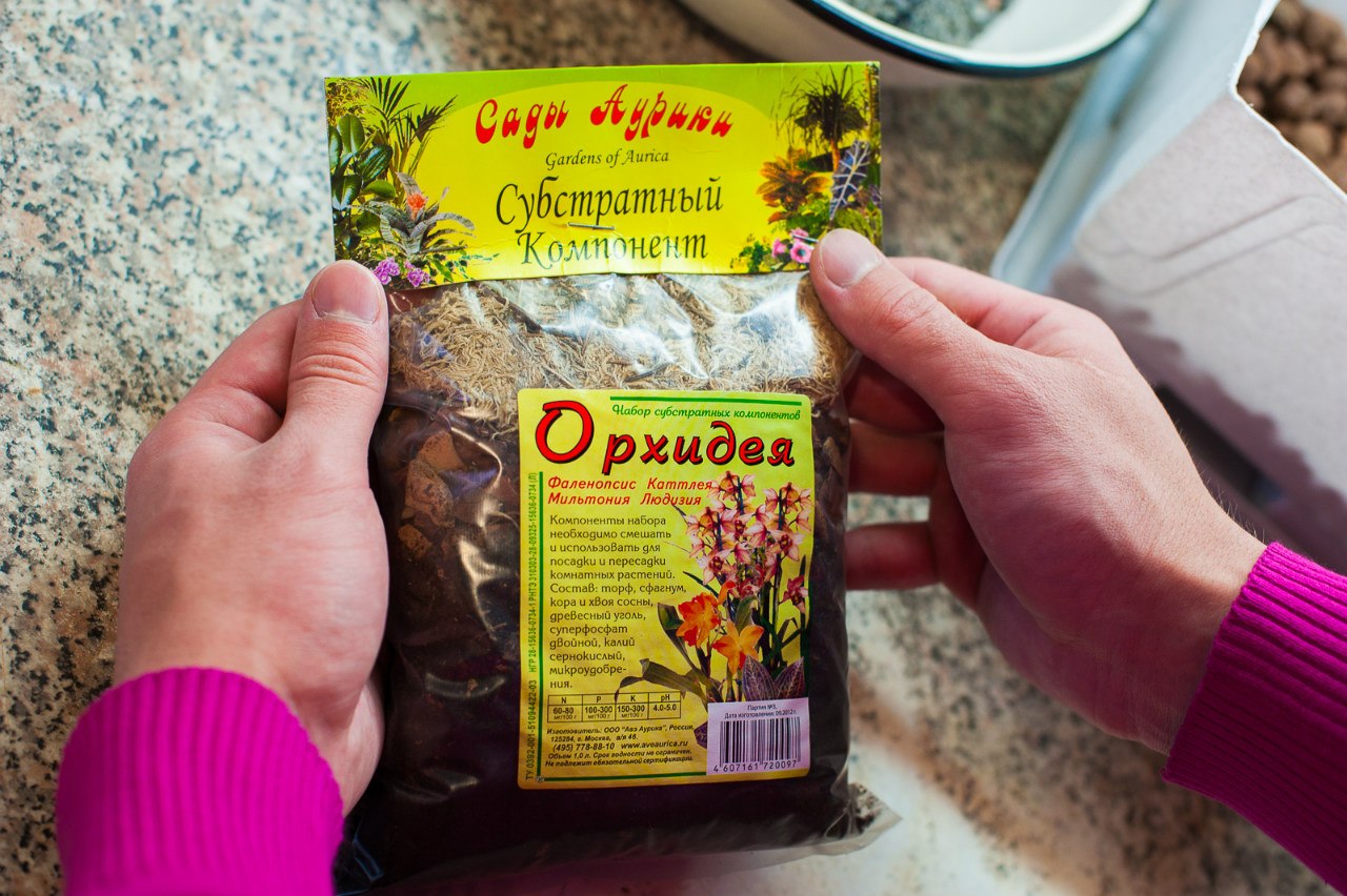 Почва для комнатного растения каттлея