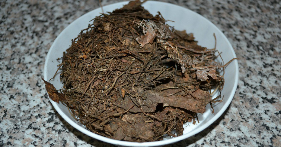 Подкормка ардизии листовенной землёй