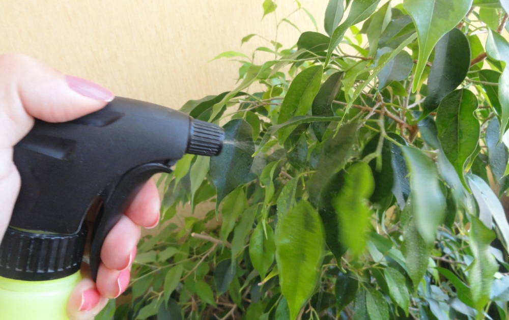 Опрыскивание