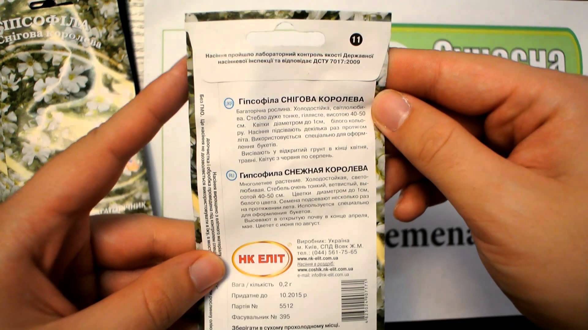 Размножение гипсофилы семянами