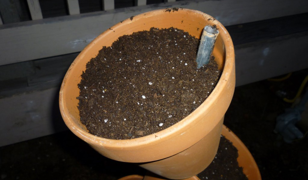 Горшок с землей