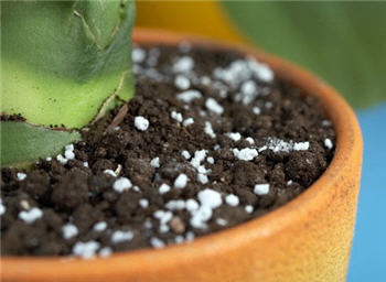 Удобрения и подкормка