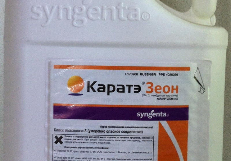 Каратэ Зеон