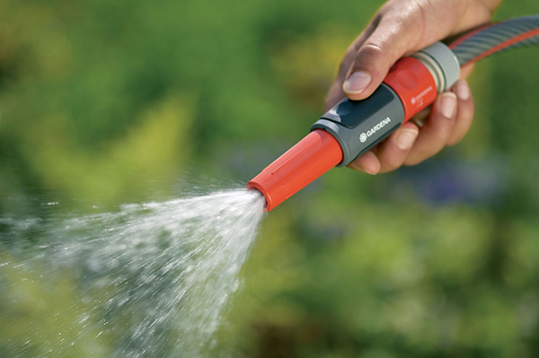 Полив гелениума