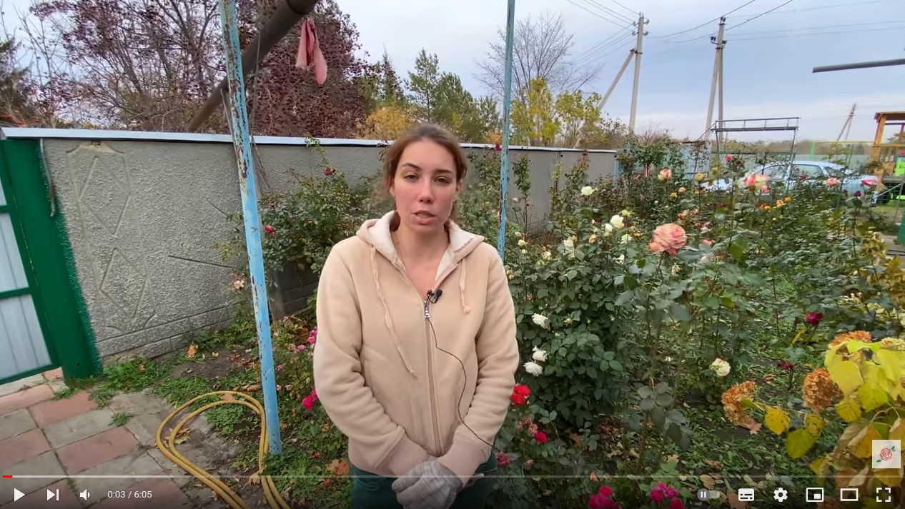 видео от эксперта Наталья как обрезать розы, цветы и растения