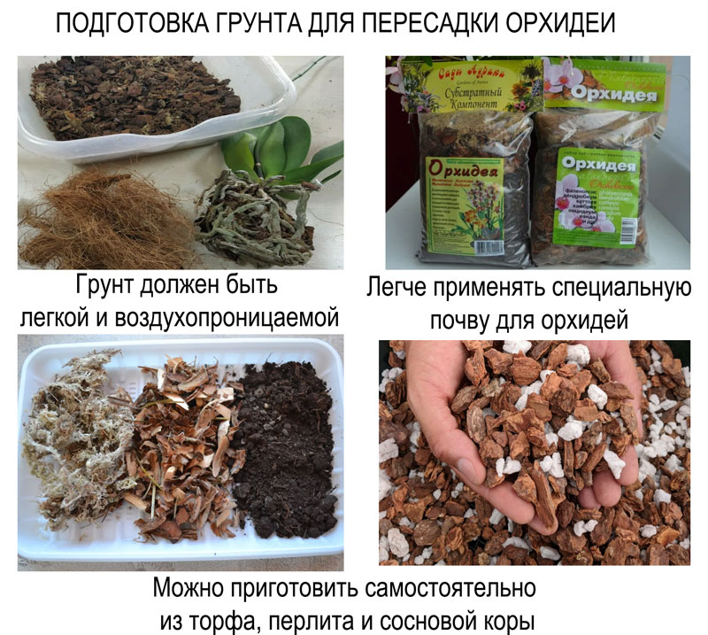подготовка почвы для пересадки орхидеи в другой горшок